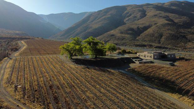 Bodega Colomé